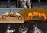 create 3d character models for games